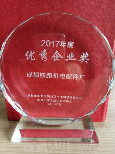 2017年度优秀企业奖.jpg